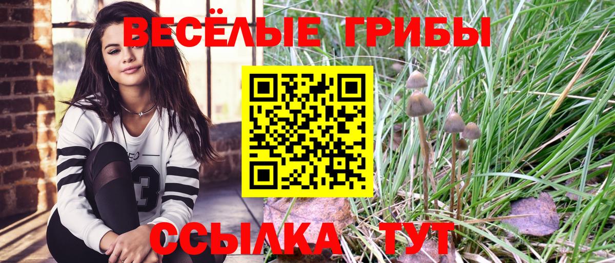 Галлюциногенные грибы ЛСД Богородицк